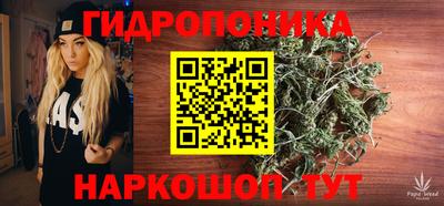 индика Нарткала
